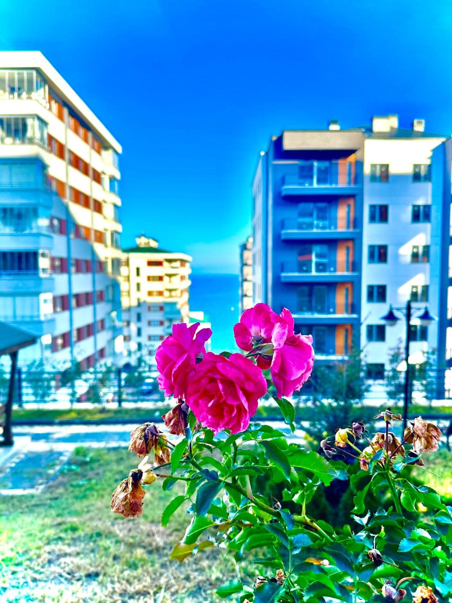 טראבזון Bazalt Apart Hotel מראה חיצוני תמונה